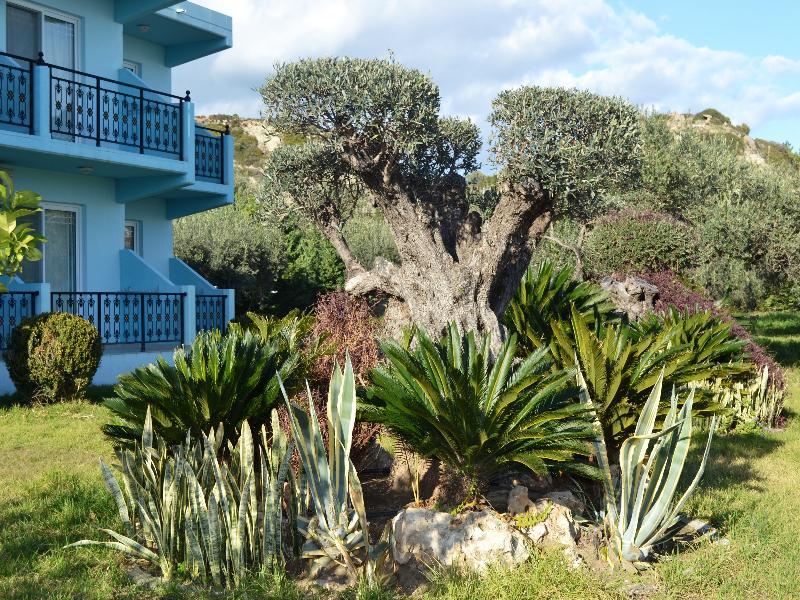 Argiro Village 3* Afantou